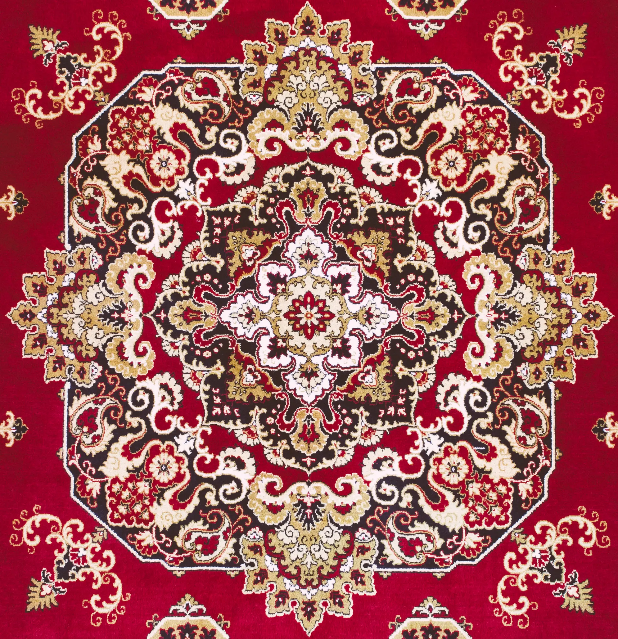 Oriental-Rug-Cleaning--Oriental-Rug-Cleaning-3045-image